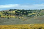 aspen habitat