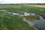 wetland habitat