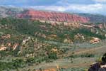 juniper woodland habitat