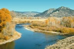 plains/basin riparian habitat